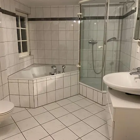 Am Zwingelbrunnen In Der Altstadt *